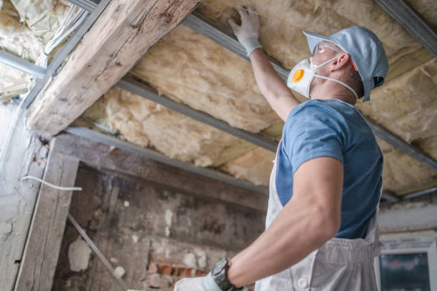 Best Insulation for Specific Applications in Park Layne, OH