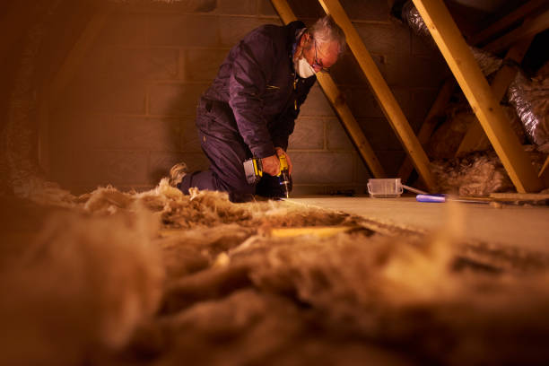 Best Cellulose Insulation in Park Layne, OH